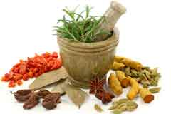 Ayurcure Ayurvedic doctor in Mumbai provides Ayurvedic treatment for AVN, ayurvedic treatment for Cancer, ayurvedic medicine for HIV, cure of AVN in Ayurveda, desi treatment for AVN, Cancer Ayurvedic treatment, ayurvedic medicine for thyroid, ayurvedic doctor in mumbai, ayurvedic doctor for Cancer in Mumbai, natural healing of AVN, Cancer, Aids, Diabetes, ayurveda treatment in Mumbai, ayurvedic treatment for skin diseases, Slimming Centre, Bridal Package, Facials, Hair Treatments, Ayurvedic Treatment for AIDS, Diabetes, cancer, Mumbai